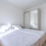 Bonaca With Jacuzzi Privlaka (Zadar)